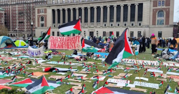columbia reinstated gaza solidarity encampment palestinian flags 1200x630